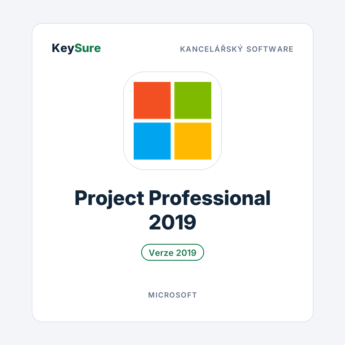 Microsoft Project Professional 2019