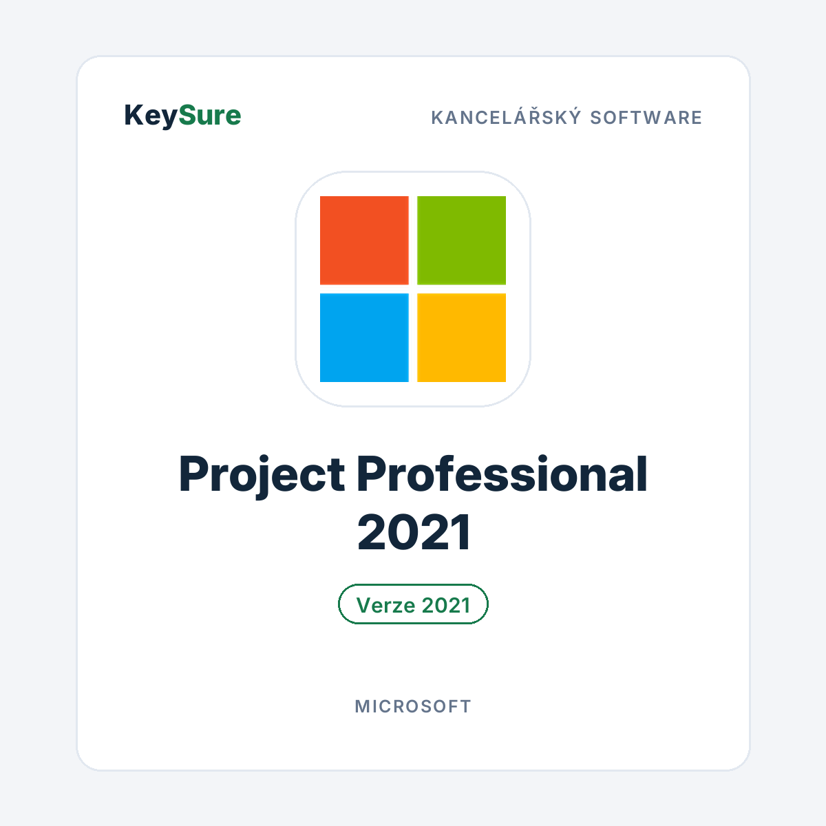 Microsoft Project Professional 2021