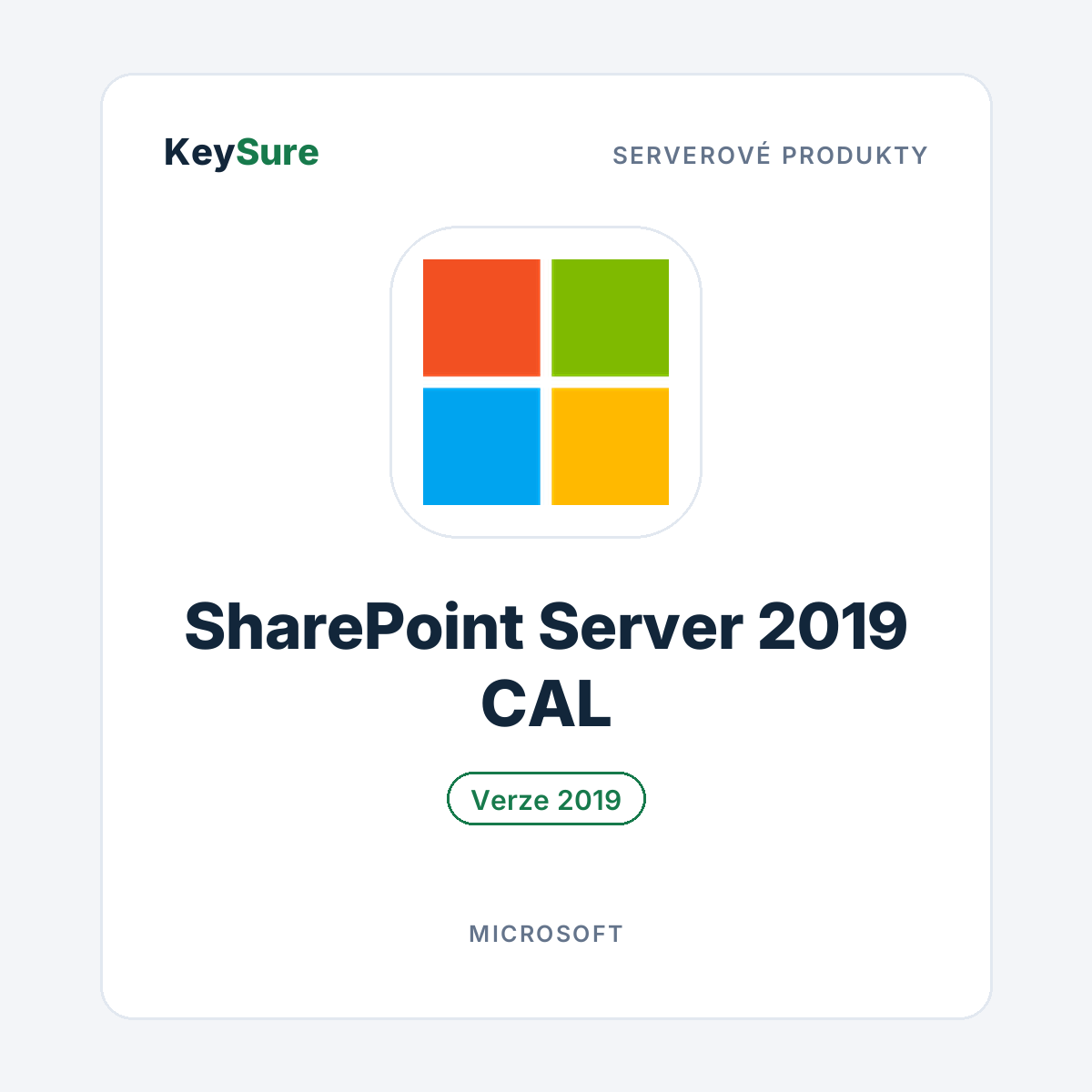 Microsoft SharePoint Server 2019 CAL