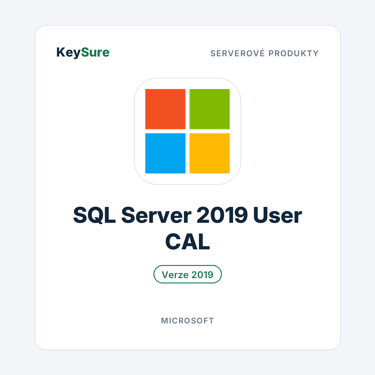 Microsoft SQL Server 2019 User CAL