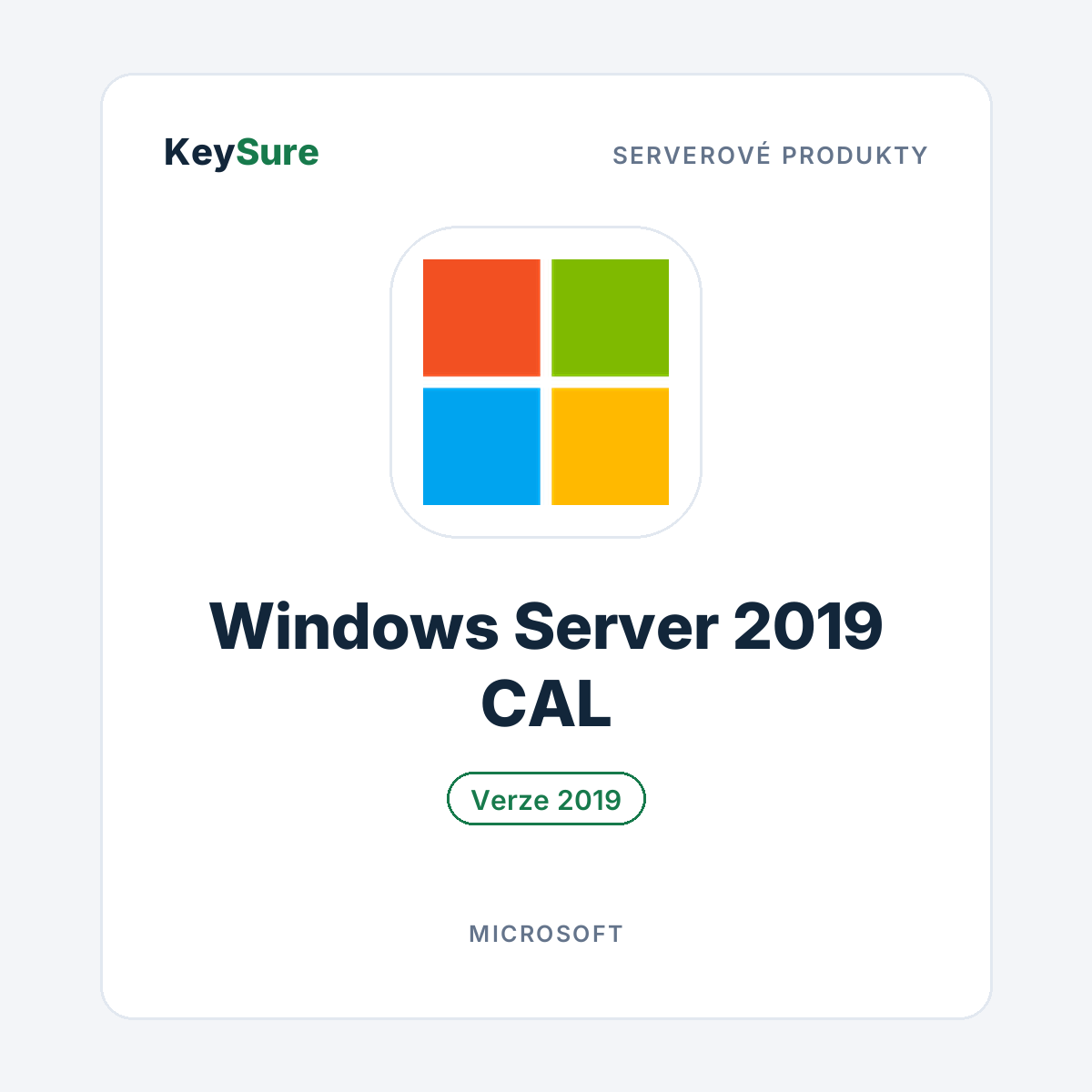 Microsoft Windows Server 2019 CAL