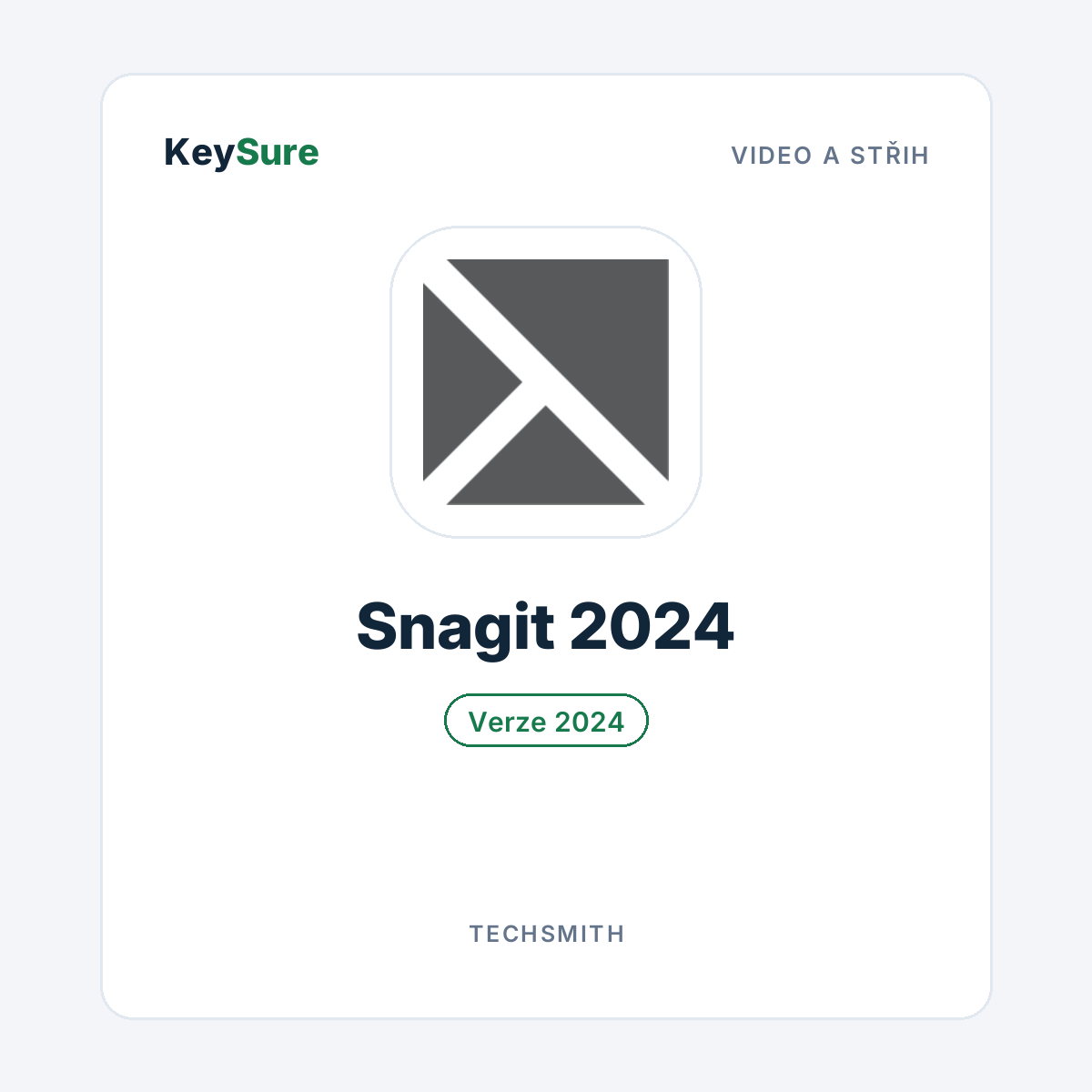TechSmith Snagit 2024